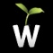 webomedia