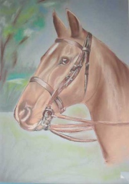 Ivica Prisuda - My Horse